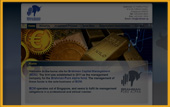 Brahman Capital Management Previews