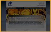 Brahman Capital Management Previews