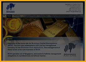 Brahman Capital Management